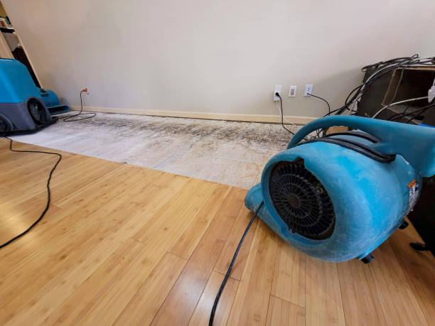 Professional Emergency Water Damage technician working in Newark, AR